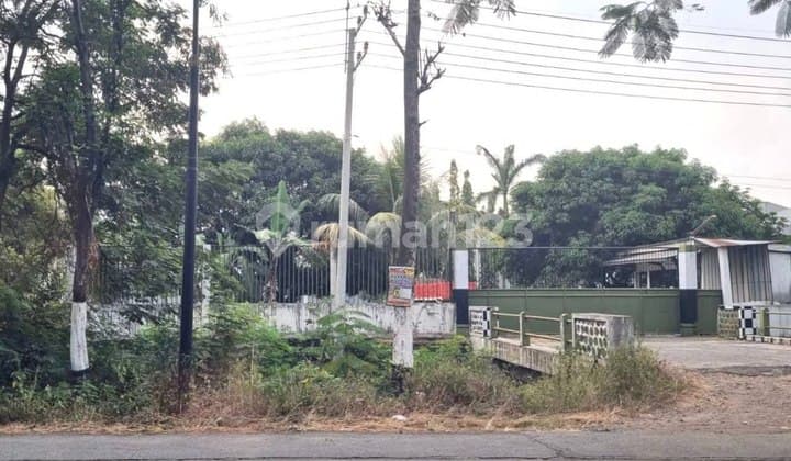 Gudang Murah Raya Purwodadi 800Rb/M Luas 3,8 Ha Dekat Tol