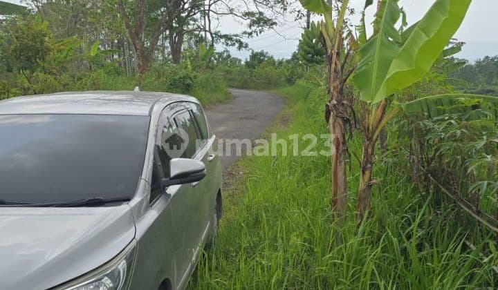 Murah Tanah 5,6 Ha 600Rb/M Singosari Akses Mobil