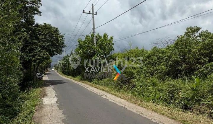 Tanah Murah 1Jt/ Landungsari Luas 1700 Dekat Thursina