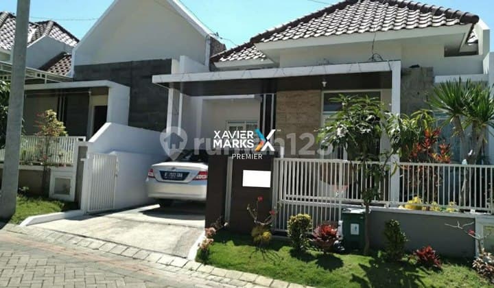 Austinville Dieng 80/120 Elite Modern Siap Huni