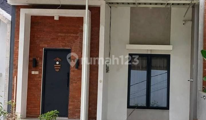 Cheap The Oz Tidar 50/84 Elite Modern Affordable Price