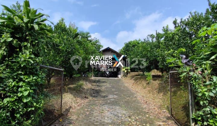 Murah Bumiaji Batu 750Rb/M 3400 Akses Mobil View Bagus