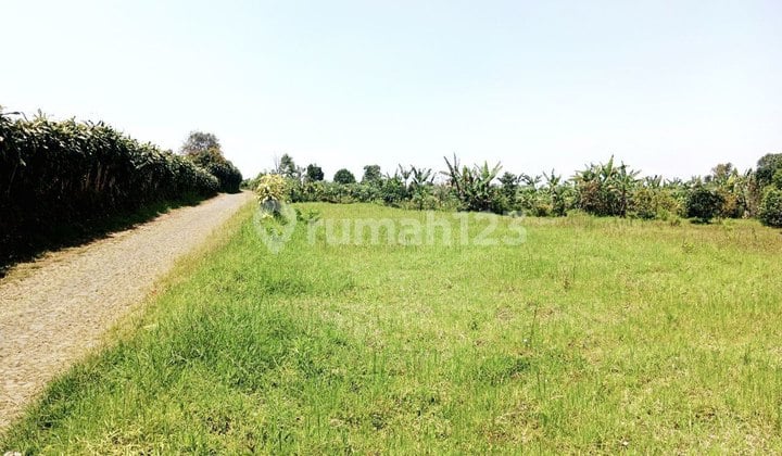 Cheap Land 1 Ha Width 100 Stone Car Access Beautiful View
