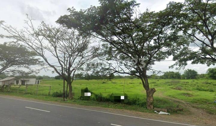 Tanah 200Rb-An/M Raya Tuban Babat Luas 2Ha Akses Container