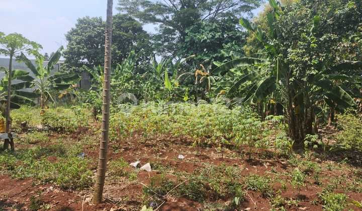 Kavling Pinggir Jalan Dekat ke Kampus UPJ Bintaro