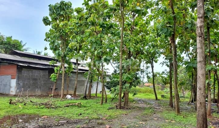 Roadside Land, Suitable for Warehouse or Cluster