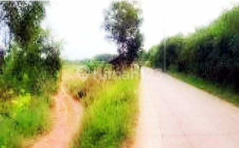 Aset Bank, 2 Shm, Pinggir Jalan, 2 Ha