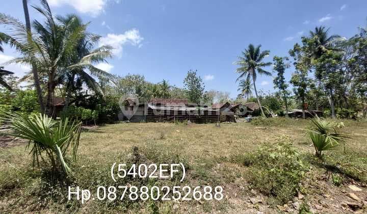 5402ef Tanah di Pengasih, Kulon Progo, Daerah Istimewa Yogyakarta