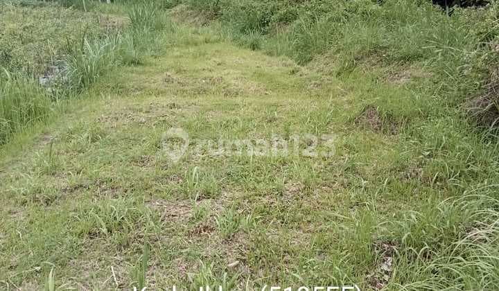 5185ef Tanah di Borobudur, Magelang, Jawa Tengah