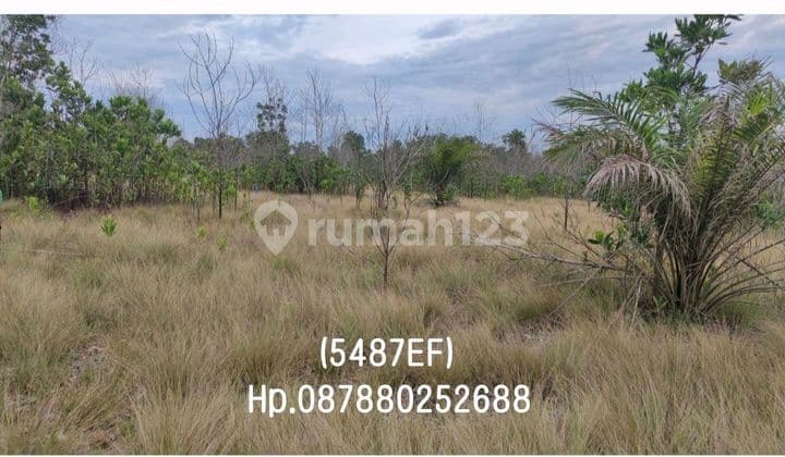 5487ef Tanah di Riding Panjang, Merawang, Bangka 300 m²