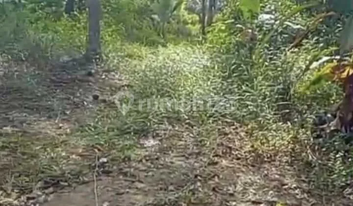 55343Nf Tanah, Girik, Dekat Akses Bandara