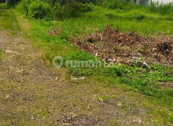 Tanah dengan View Sawah Super Langka