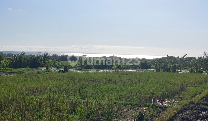 BEAUTIFUL LAND WITH SEA VIEW