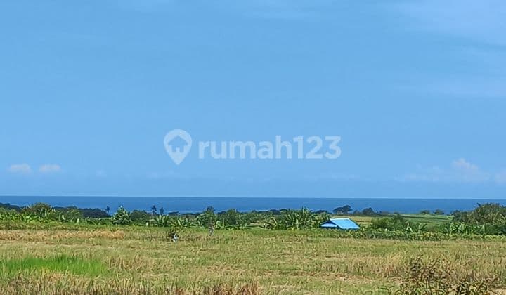 BEAUTIFUL LAND WITH SEA VIEW