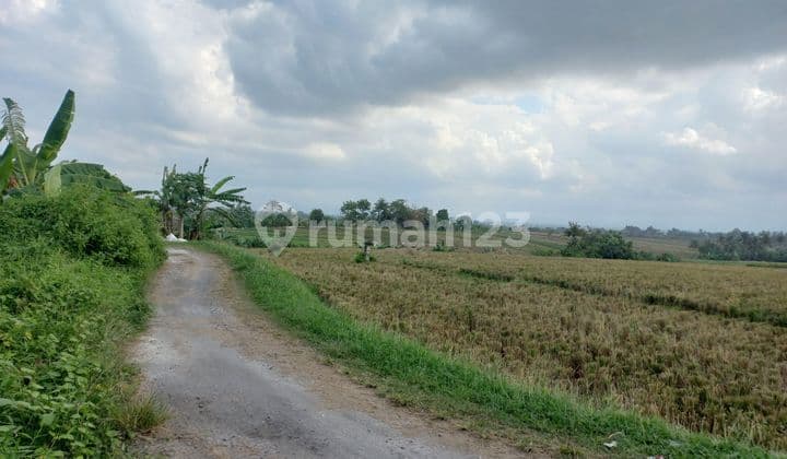 ABSOULTELY BEACH FRONT LAND