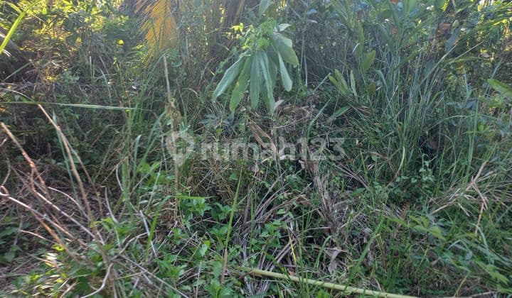 BEAUTIFUL LAND WITH SEA VIEW