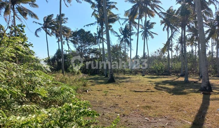 ABSOULUTLY BEACH FRONT LAND VERY BEAUTIFUL AND FALT LAND ON THE ROAD