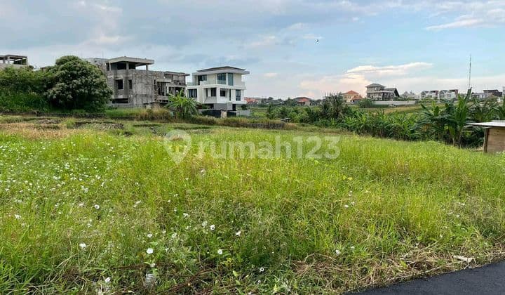 Beautiful Land Close To Beach