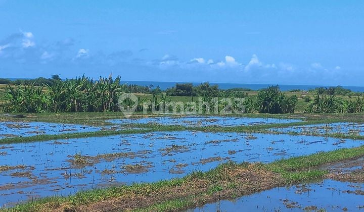 Super Beautiful Land and Special View