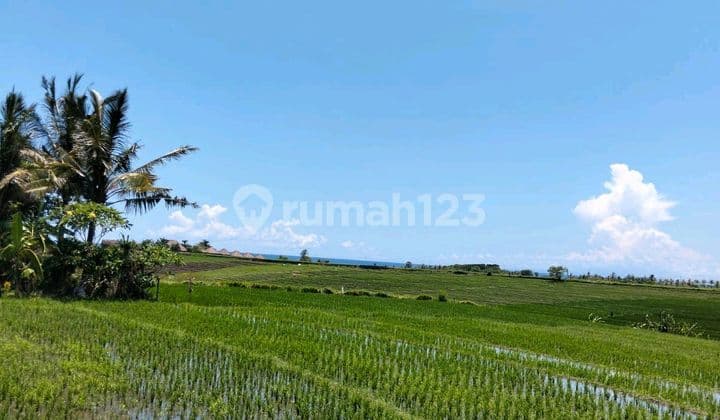 Beautiful Land With Sea View