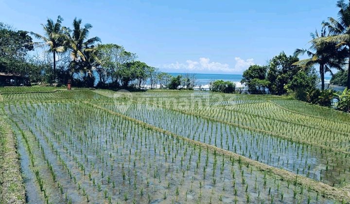 Abosultely Beach Front.land Beautiful Beach