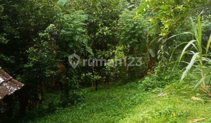 Beautiful Land Close To Main Road With Cheap Price