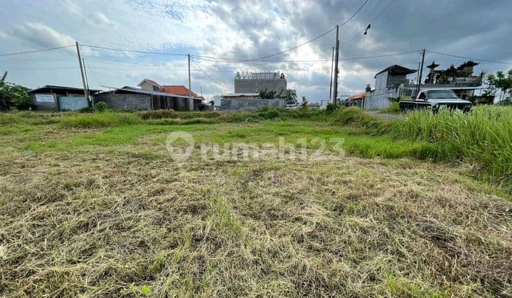Beautiful Land With Rice Field View