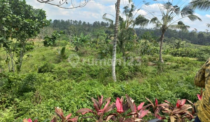 BEAUTIFUL LAND WITH SEA VIEW