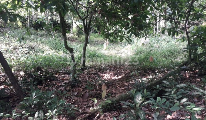 Beautiful Land With River Side