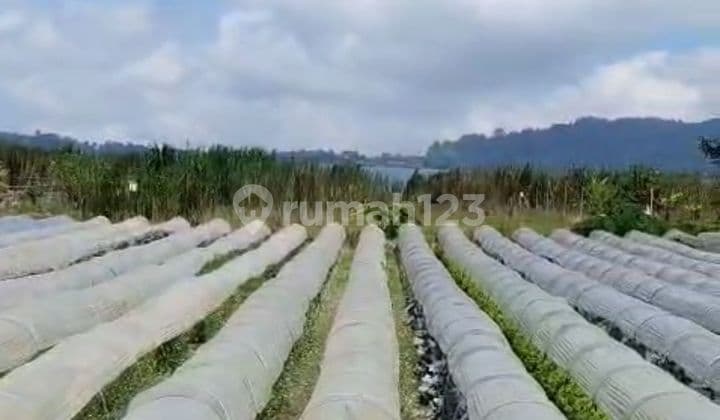 Absoulutly Lake Front Land