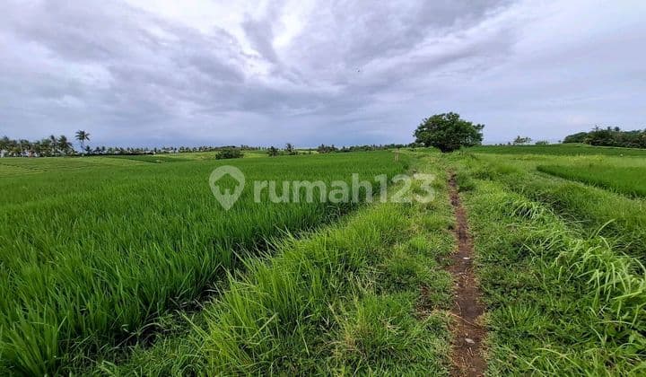 Tanah Indah dengan Pemandangan Laut dan Sawah