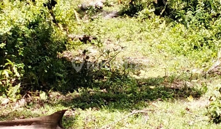 Realy Beautiful Land