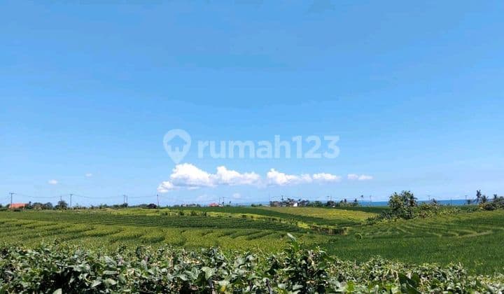 Tanah Indah dengan Pemandangan Laut yang Menakjubkan