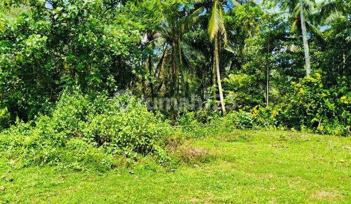 Beautiful Land With Cheap Price