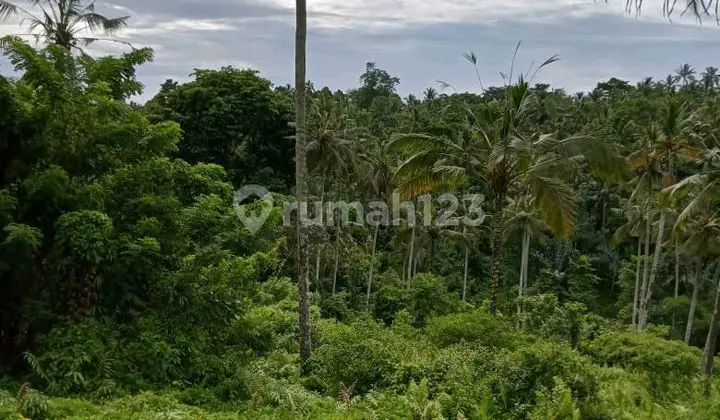 Beautiful Land