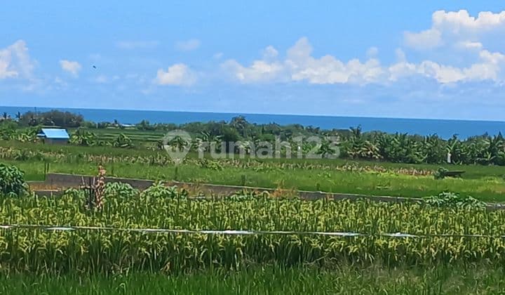 Beautiful Land With Amazing Sea View