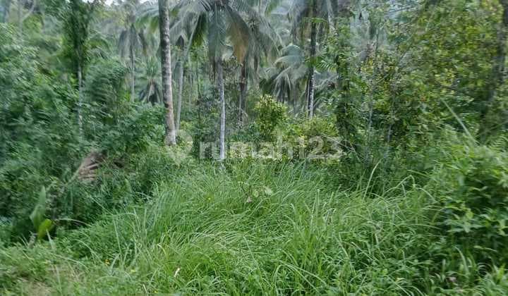 Beautiful Land with Riverside
