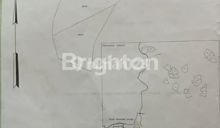 Tanah luas di banjar kalimatan selatan