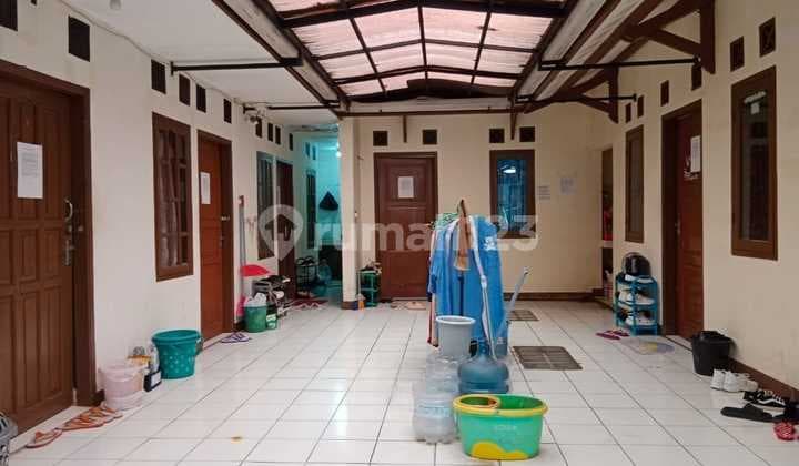 Jual Rukost Sayap Palasari