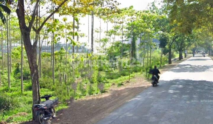 Turun Harga Jual Tanah Mainroad Jl Raya Cicalengka 2 Hektar Lebih. Siap Bangun Area Gudang/pabrik/perumahan - Jalan Provinsi