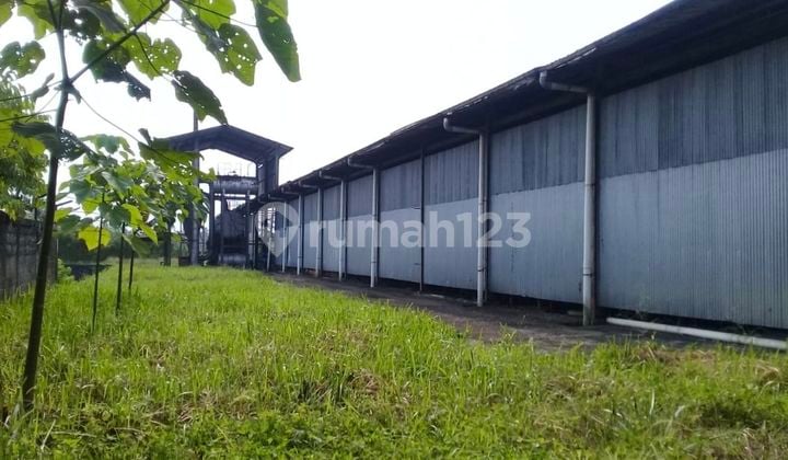 Untk Investor Turun Harga Sangat Murah - Jual Tanah 2 Hektaran Bonus Gudang Di Kab Sukabumi Ex Pabrik Plywood - Luas Dan Siap Pakai . Ijin Aktif. Sangat Murah. Nego Saja Sampai Deal