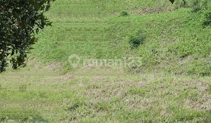 Jual Kavling Setraduta Hegar Lingkungan Asri Tenang dan Mewah