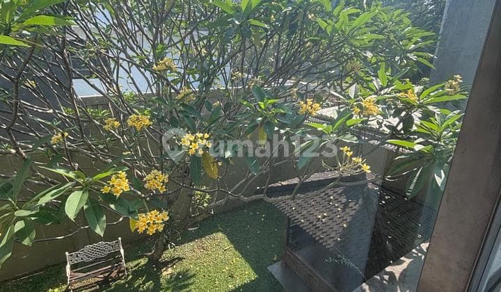 Rumah Siap Huni Lokasi Strategis Dekat Tol Area The Green Bsd