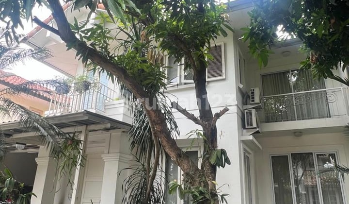 Rumah Mewah Bagus Siap Huni BSD Tangerang Selatan
