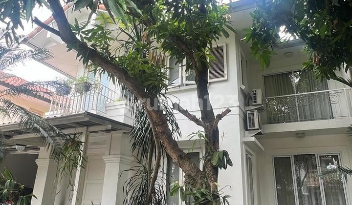 Rumah Mewah Siap Huni di BSD Taman Provence