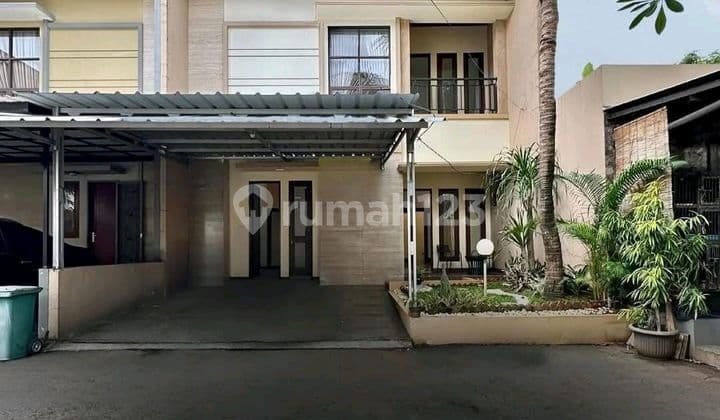 Duren Tiga ~ Lt/lb 127/155 ~ Townhouse