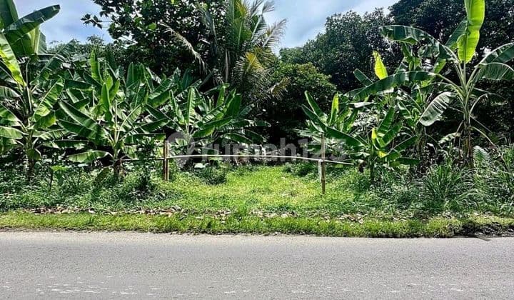 Sawah Land - Depok ~ Area 1.7 Ha ~ Close to Toll Gate