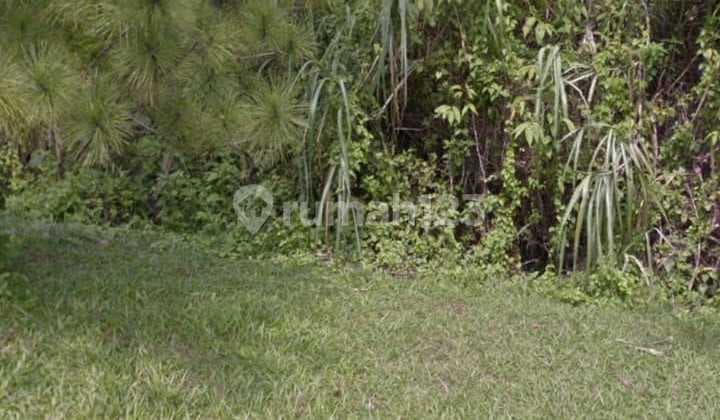 Tanah di Bukit Sentul Bogor Jawa Barat