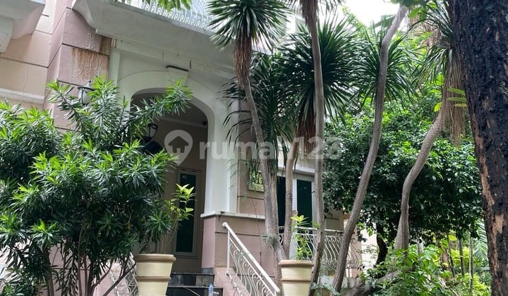 Jual Rumah Blossom Residence Hoek 625 Meter 4 Lantai