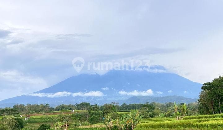 Tanah Sawah 3592m² View Gunung Kerjo Karanganyar